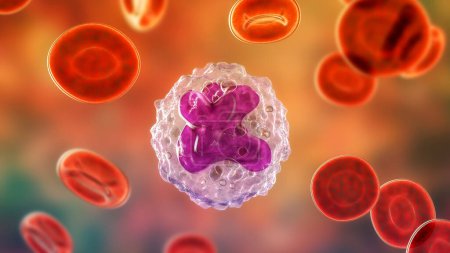 Téléchargez les photos : Illustration 3D détaillée révélant la structure interne complexe d'une cellule monocytaire, vitale pour la défense du système immunitaire. - en image libre de droit