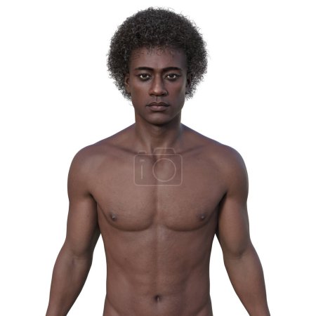 Téléchargez les photos : Illustration photoréaliste 3D montrant la moitié supérieure d'un homme africain, regardant avec confiance la caméra, révélant les détails complexes de son anatomie de la peau, du visage et du corps. - en image libre de droit