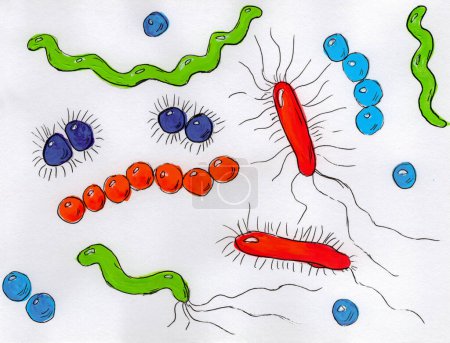 Téléchargez les photos : Illustration en forme d'enfant dessinée à la main de bactéries aux couleurs vibrantes de gouache, présentant diverses formes, favorisant la curiosité artistique pour la microbiologie. - en image libre de droit