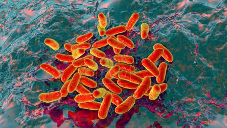 Foto de La bacteria Haemophilus influenzae, conocida por causar infecciones respiratorias como neumonía y meningitis, ilustración 3D. - Imagen libre de derechos