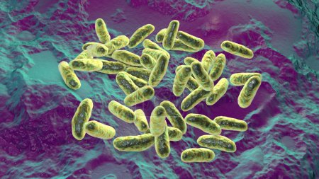 Bactéries Haemophilus influenzae, connues pour causer des infections respiratoires comme la pneumonie et la méningite, illustration 3D.