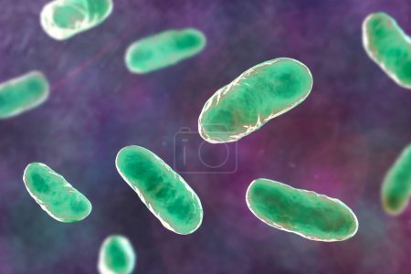 Photo for Haemophilus influenzae bacteria, known for causing respiratory infections like pneumonia and meningitis, 3D illustration. - Royalty Free Image