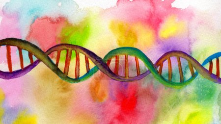 Foto de Acuarela dibujada a mano ilustración de una vibrante doble hélice de ADN, mostrando la intrincada estructura con colores vivos y estilo artístico. - Imagen libre de derechos