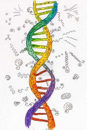Téléchargez les photos : Croquis aquarelle d'une double hélice d'ADN vif avec des éléments abstraits dessinés au stylo, combinant art et représentation scientifique en harmonie. - en image libre de droit