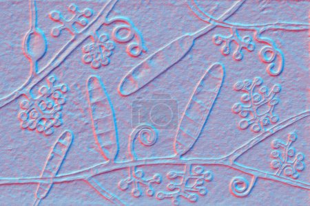 Téléchargez les photos : Champignons Trichophyton mentagrophytes, illustration 3D montrant des macroconidies, conidiophores ramifiés portant des conidies sphériques, hyphes septés et spiraux. Causes teigne, infections des cheveux et des ongles - en image libre de droit