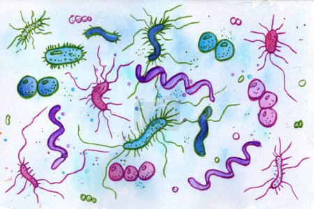 Téléchargez les photos : Aquarelle vive dessinée à la main et illustration de marqueurs présentant diverses formes de bactéries, combinant créativité artistique et précision scientifique. - en image libre de droit