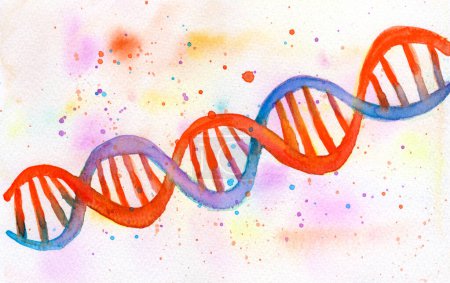Photo for Hand-drawn watercolor illustration of a vibrant DNA double helix, showcasing the intricate structure with vivid colors and artistic flair. - Royalty Free Image