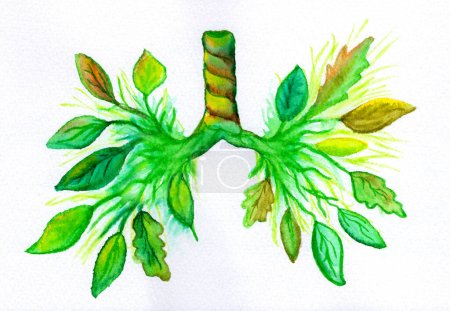 Téléchargez les photos : Poumons aquarelle à thème botanique, symbolisant la santé respiratoire et illustrant l'interaction entre la nature, l'air pur et les maladies pulmonaires. - en image libre de droit
