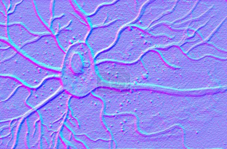 Foto de Célula cerebral de una neurona motora, ilustración 3D que muestra el cuerpo de la neurona con núcleo, dendritas y axón. - Imagen libre de derechos