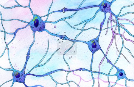 Foto de Red neuronal, ilustración acuarela dibujada a mano que muestra múltiples neuronas conectadas por sinapsis. - Imagen libre de derechos
