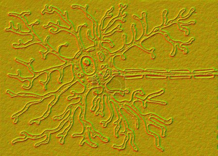 Eine motorische Neuron-Gehirnzelle, 3D-Darstellung des Neuronenkörpers mit Kern, Dendriten und Axon.