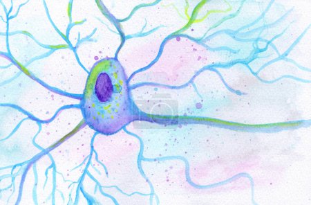 Photo for A motor neuron brain cell, hand drawn watercolor illustration showing neuron body with nucleus, dendrites and axon. - Royalty Free Image