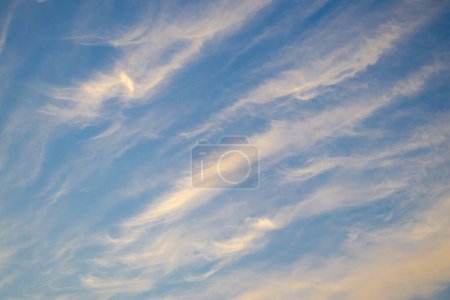 Téléchargez les photos : Une photo envoûtante capturant le ciel bleu serein orné de beaux nuages de cirrus blancs et jaunes lors d'un coucher de soleil captivant. - en image libre de droit
