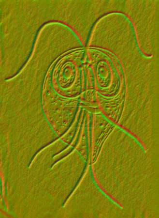 Foto de Giardia intestinalis protozoario, anteriormente conocido como G. lamblia o Lamblia intestinalis, un parásito flagelado que se reproduce en el intestino delgado y causa giardiasis, ilustración 3D. - Imagen libre de derechos