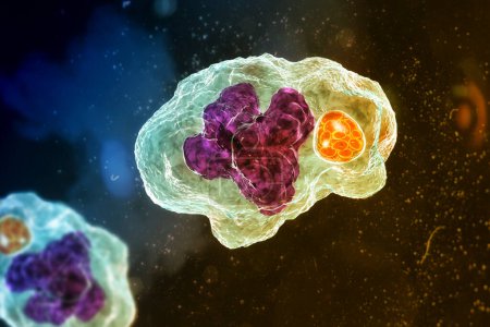 Téléchargez les photos : Illustration 3D des morula de bactéries Ehrlichia dans les macrophages, associées à l'ehrlichiose, une maladie infectieuse transmise par les tiques. - en image libre de droit