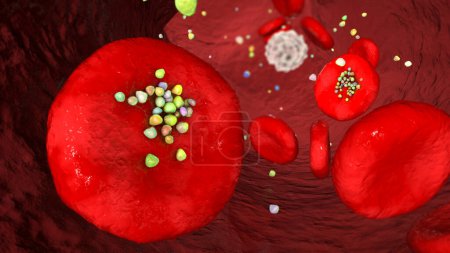 Foto de Interacción eritrocitaria con micropartículas plásticas en la sangre. Ilustración 3D que muestra movimiento de partículas y deposición después de entrar en el torrente sanguíneo por ingestión, inhalación o absorción. - Imagen libre de derechos