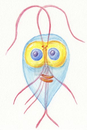 Color pencils hand drawn illustration of Giardia intestinalis protozoan, portraying its morphology and contributing to the understanding of this parasitic organism.