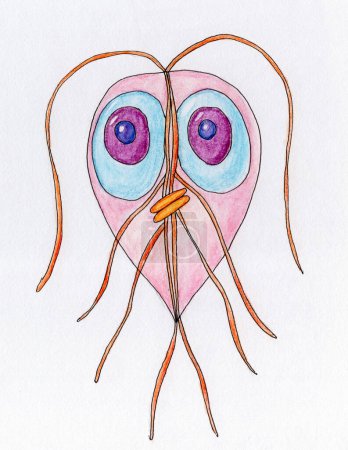 Watercolor hand drawn illustration of Giardia intestinalis protozoan, portraying its morphology and contributing to the understanding of this parasitic organism.