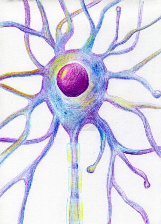 Eine motorische Neuron-Gehirnzelle, handgezeichnete Illustration, die Neuronenkörper mit Zellkern, Dendriten und Axon zeigt.