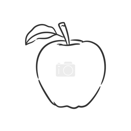 Illustrazione per Apple linea arte vettoriale illustrazione, Libro da colorare di frutta sana - Immagini Royalty Free
