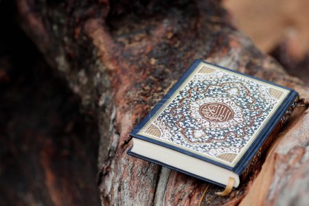 Téléchargez les photos : Quran on a trunk. Callygraphy. - en image libre de droit