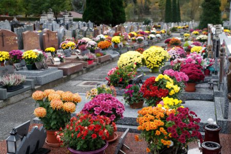 Foto de Día de Todos los Santos en un cementerio. Flores colocadas para honrar a familiares fallecidos. Francia. - Imagen libre de derechos