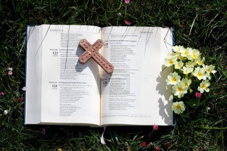 Téléchargez les photos : Bible ouverte avec croix sur l'herbe. Les psaumes. Printemps. - en image libre de droit