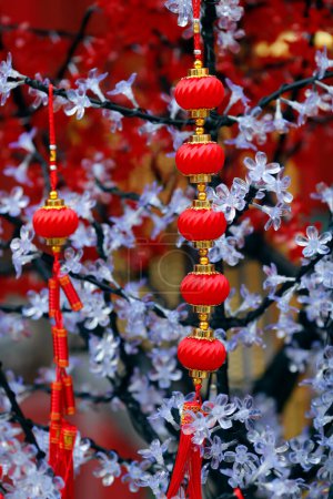 Guan Di chinesischer taoistischer Tempel. Rote traditionelle Laternen hängen zum chinesischen Neujahrsfest am Baum. Kuala Lumpur. Malaysia. 