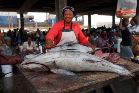 Téléchargez les photos : Port of Lome. Fish market. Tuna fish.  Togo. - en image libre de droit