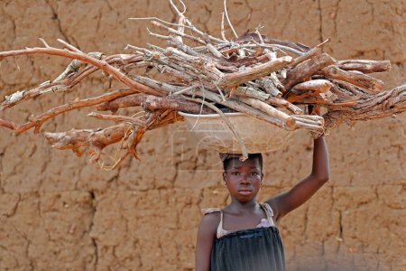 Téléchargez les photos : African village. Young girl carrying firewood on his head.  Daily life.  Datcha-Attikpaye. Togo. - en image libre de droit