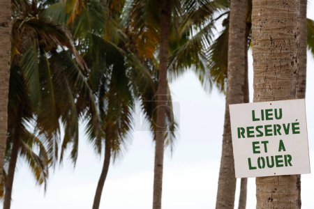 Téléchargez les photos : Beach with palm trees to rent.  Aneho. Togo. - en image libre de droit