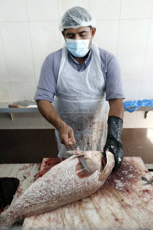 Photo for Fish market.  Worker cleaning fish.   United Arab Emirates. - Royalty Free Image