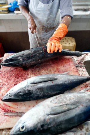 Photo for Fish market.  Worker cleaning fish.  Fresh tuna.   United Arab Emirates. - Royalty Free Image