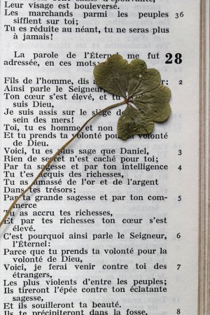 Photo for Open bible in french with a Four Leaf Clover. - Royalty Free Image