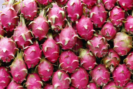 Dragon fruit for sale at local market.