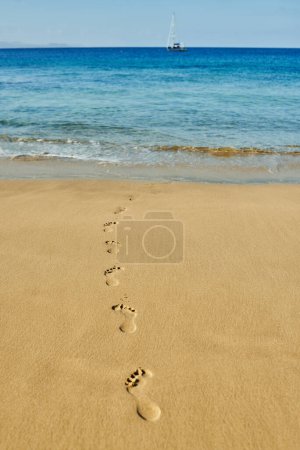 Téléchargez les photos : Footprints on sand of tropical beach with beach on background - Peaceful summer concept - en image libre de droit