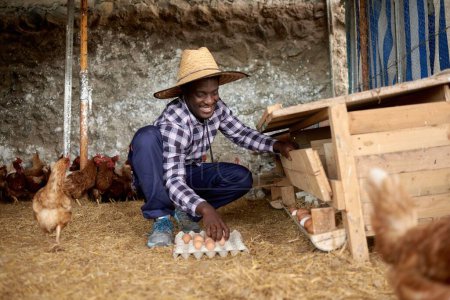 Foto de Hombre étnico sonriente con camisa a cuadros recogiendo huevos frescos contra gallinas en paja en el campo - Imagen libre de derechos