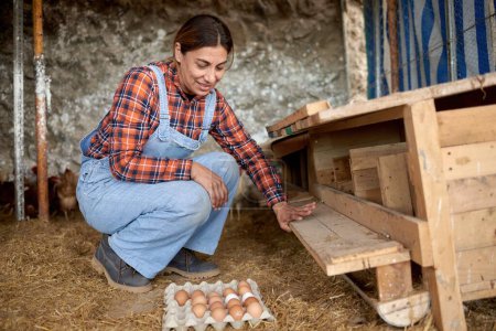Photo for Smiling adult woman looking down while squatting on straw with raw eggs in carton box in countryside coop - Royalty Free Image