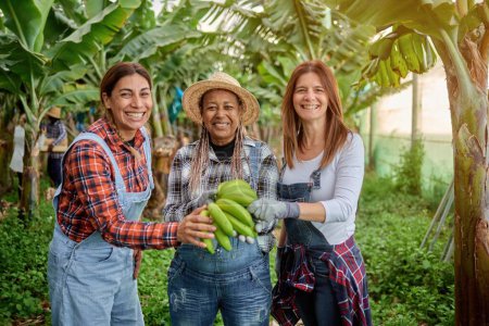 Foto de Alegres agricultoras multiétnicas con manojo de plátano verde mirando a la cámara entre plantas en el campo - Imagen libre de derechos