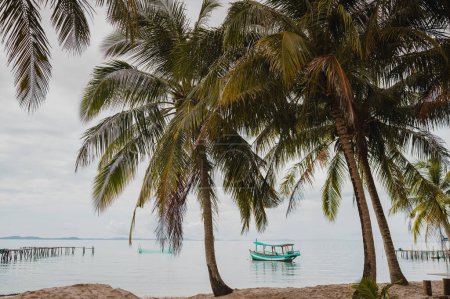 Foto de Palmeras tropicales creciendo en la orilla arenosa cerca del agua de mar ondulada con barcos flotantes - Imagen libre de derechos