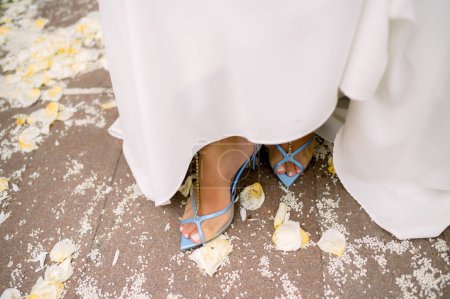 Photo for From above anonymous woman in white dress and blue high heeled sandals walking on path covered with white flower petals during wedding celebration - Royalty Free Image