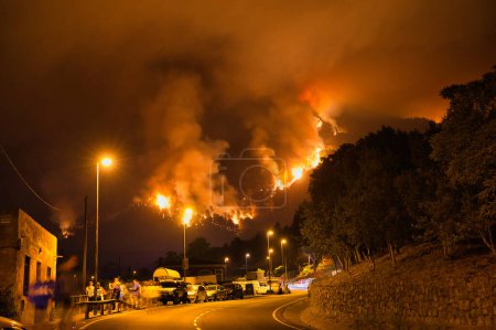 Foto de Curiosos espectadores y transeúntes en el camino presenciando los árboles envueltos en llamas. Tenerife 2023 - Imagen libre de derechos