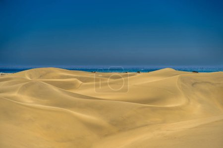 Photo for Panoramic view of desert landscape with sand dunes under blue sky on a sunny day with the sea in the background - Royalty Free Image