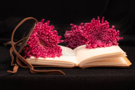 Foto de Un diario encuadernado en cuero marrón con páginas de color crema y tres flores rosadas. - Imagen libre de derechos
