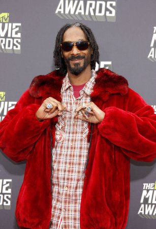 Foto de Snoop Dogg en los MTV Movie Awards 2013 celebrados en los Sony Pictures Studios en Los Ángeles, EE.UU. el 14 de abril de 2013. - Imagen libre de derechos