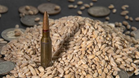 Bullet in a pile of grain and coins on a blurry background, food war, grain deal, world crisis