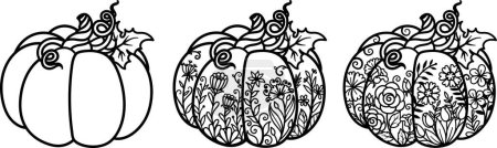 Illustration for 3 styles of pumkins for coloring page, engraving, t shirt design, laser cut and so on. Halloween, thanks giving, autumn, fall concept. Vector illustration. - Royalty Free Image