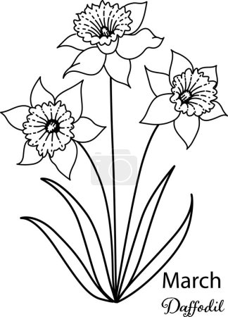 Téléchargez les illustrations : Birth month flower of March is Daffodil flower for printing engraving, laser cut, coloring and so on. Vecter illustration. - en licence libre de droit