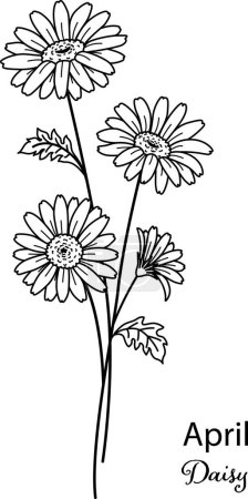 Ilustración de Birth month flower of April is daisy flower for printing engraving, laser cut, coloring and so on. Vecter illustration. - Imagen libre de derechos