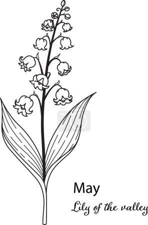 Ilustración de Nacimiento flor mes de mayo es lirio de la flor del valle para imprimir grabado, corte por láser, colorear y así sucesivamente. Ilustración del vector. - Imagen libre de derechos